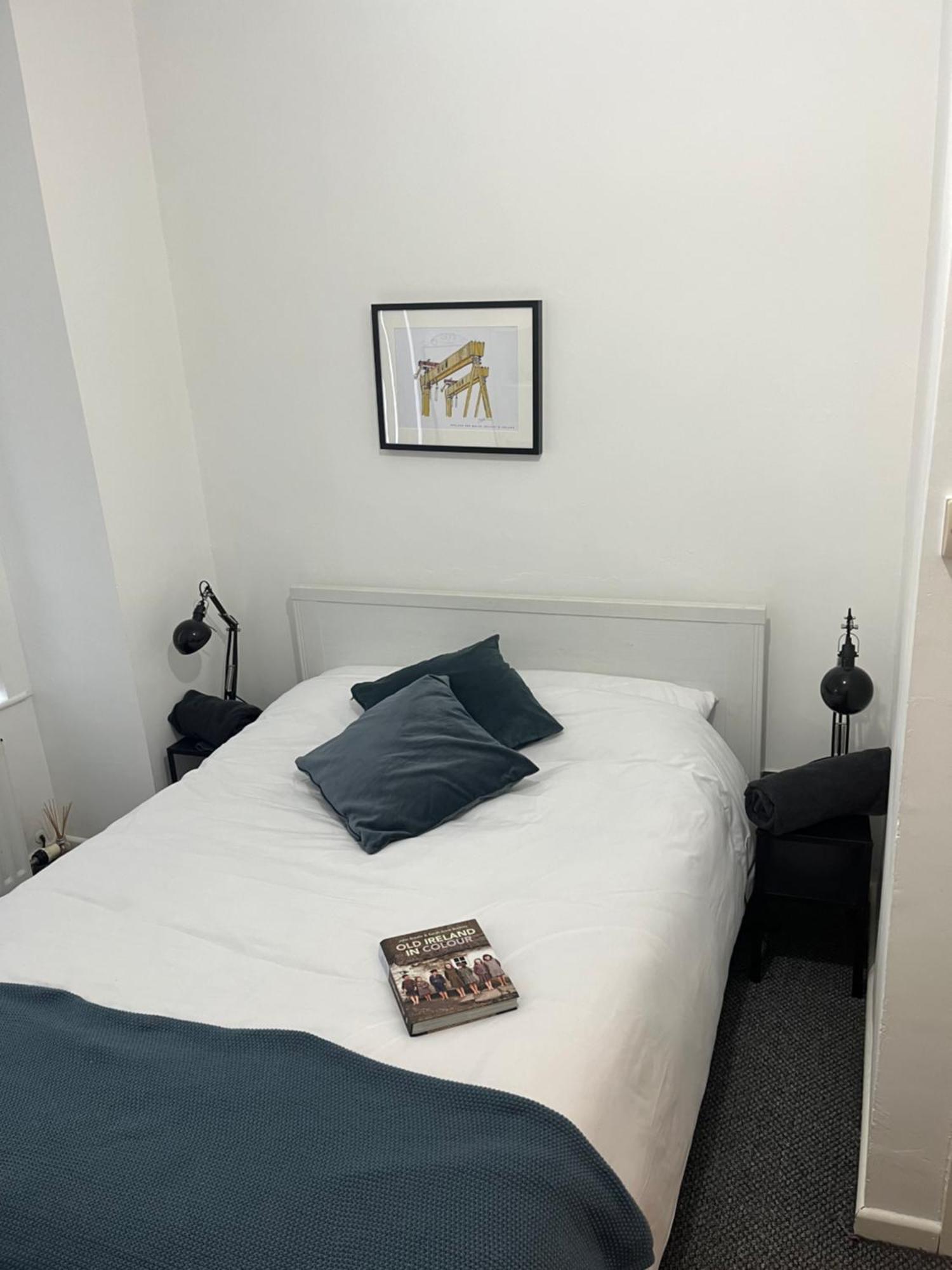 Loganberry Apartment ベルファスト エクステリア 写真