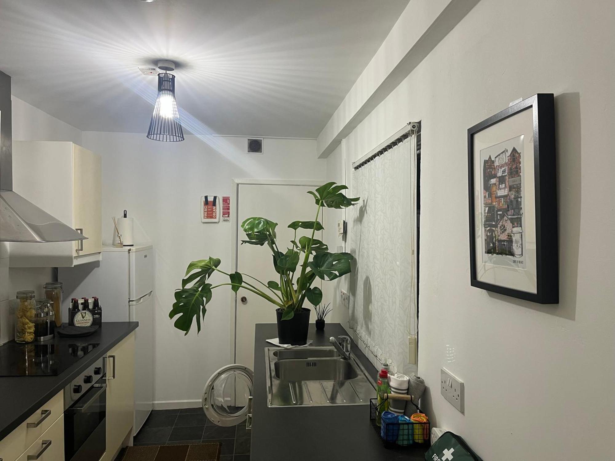 Loganberry Apartment ベルファスト エクステリア 写真